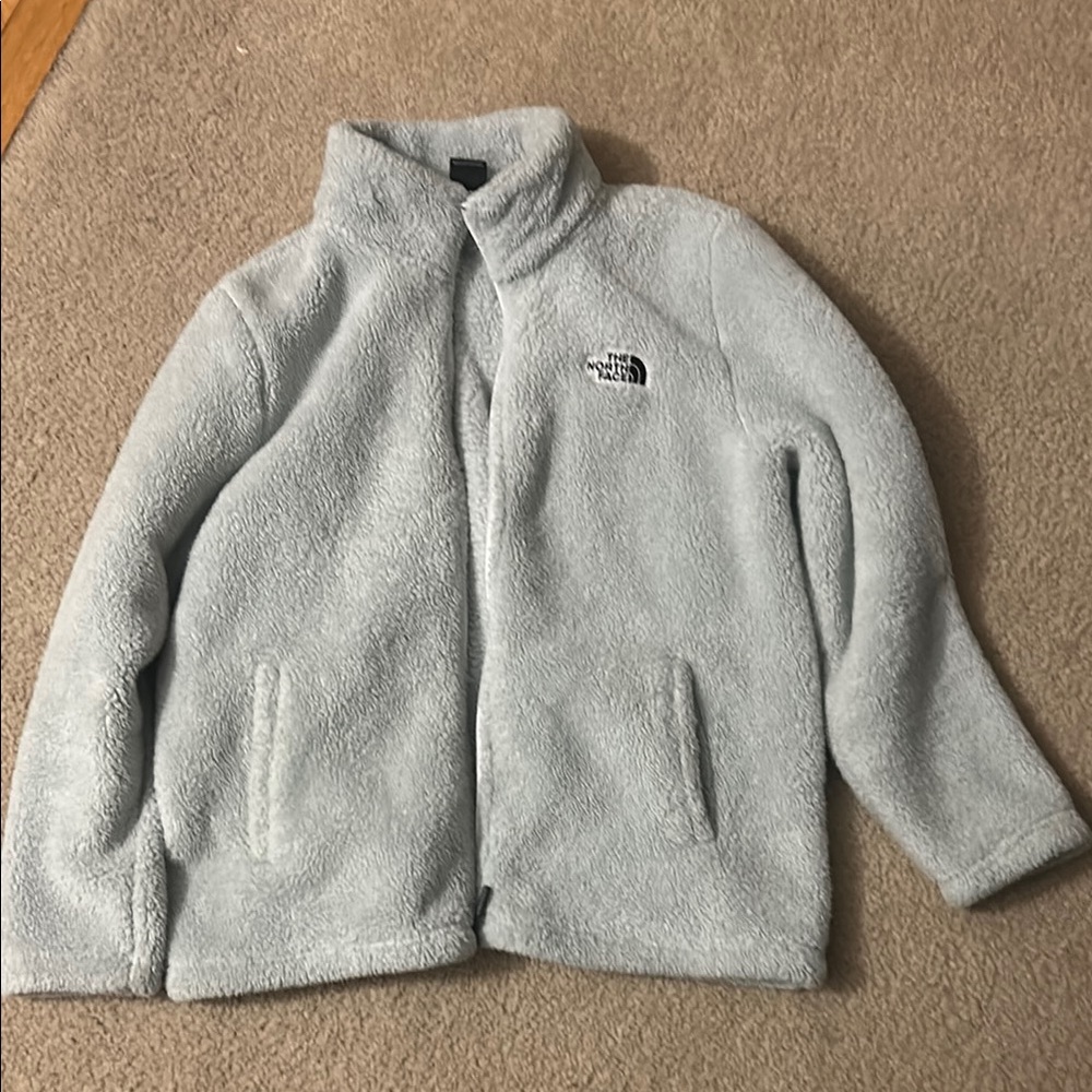 The North Face Grayish / Blue Fleece Jacket